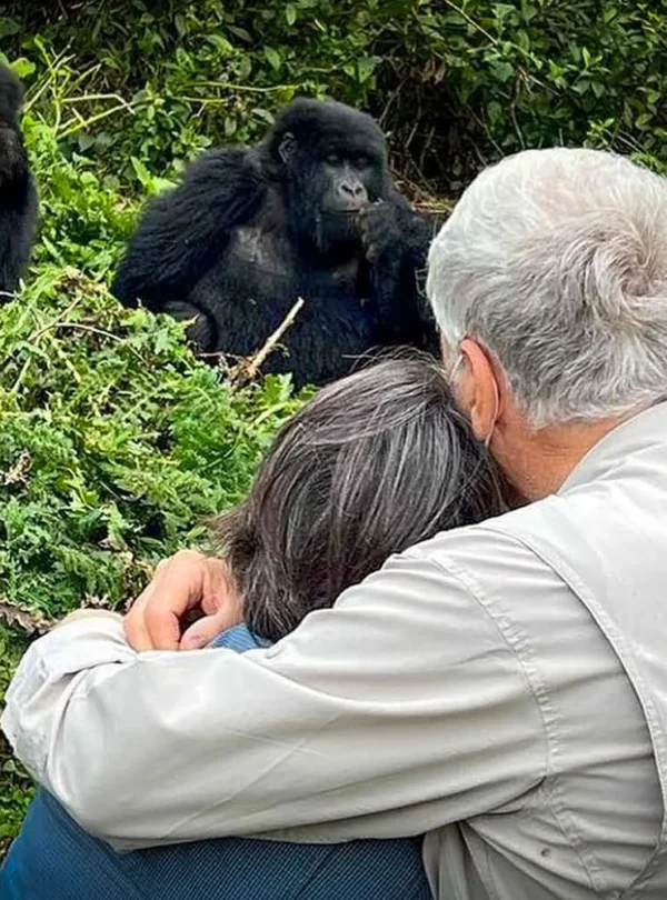 Gorilla Trekking in Bwindi Uganda