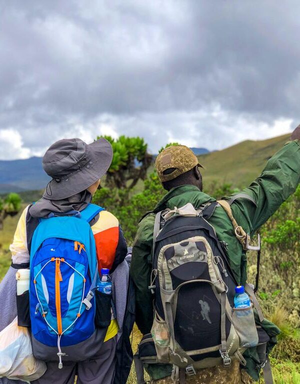 Hiking Safari in Uganda