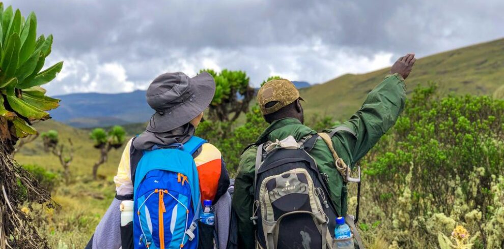Hiking Safari in Uganda