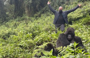 guided tour in Uganda-gorilla experience