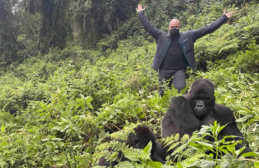 guided tour in Uganda-gorilla experience