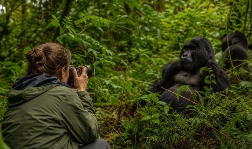 Guided Tours In Uganda