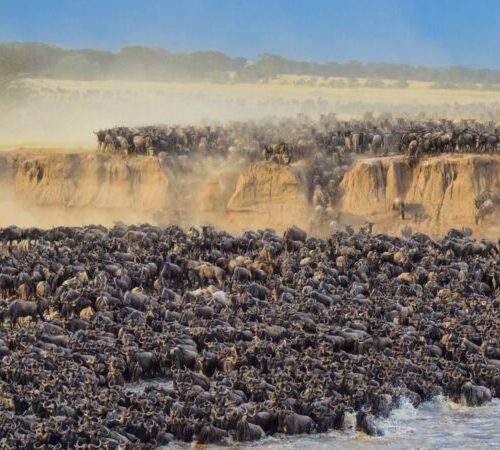10 days Kenya and Tanzania safari