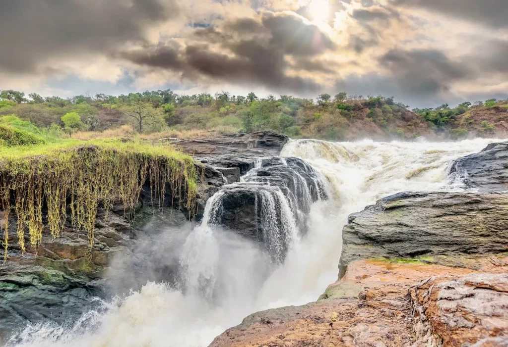 7 days Uganda Safari