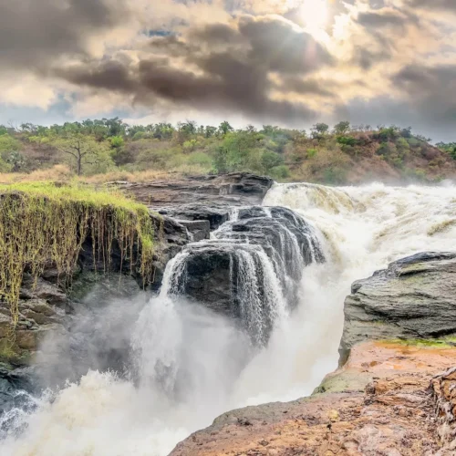 7 days Uganda Safari