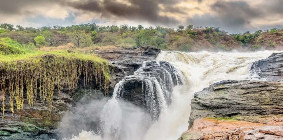 7 days Uganda Safari