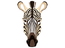anim-thumb-4.png